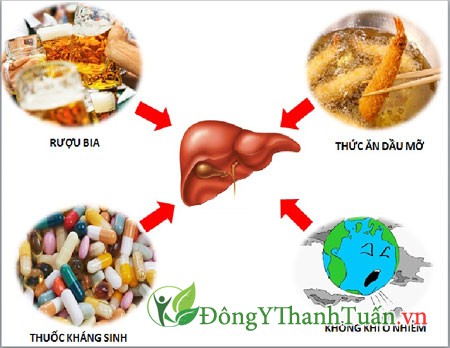 Suy giảm chức năng gan