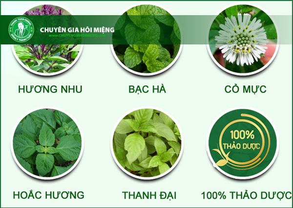 5 vị thành phần Thanh Hương Plus